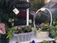 February Table Top Sale update